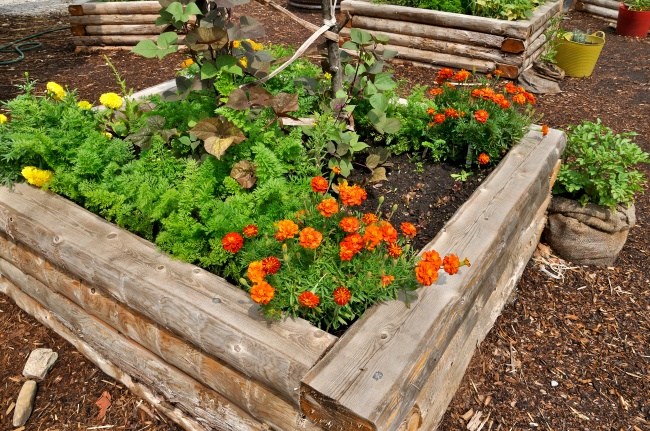 Raised garden beds